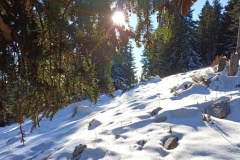 Mont Viroulet, La colmiane, Caire Gros, Vallée de la Vésubie, Terres d'émotions Randonnée dans le 06