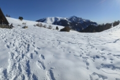Plateau St Jean, Beuil, Valberg, Terres d'émotions, Randonnée dans le 06