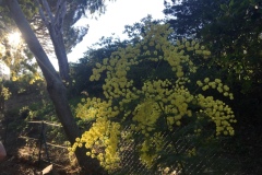 Cap Bénat, Cap Blanc, Bormes les mimosas, Terres d\'émotions. Randonnée dans le 83, Sentier du littoral