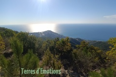 IMG_20220227_094423_1