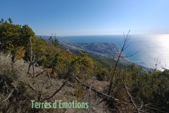 IMG_20220227_104741_1