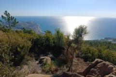 IMG_20220227_105443_1