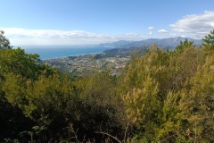 IMG_20220227_120203_1