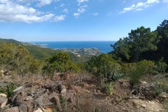 IMG_20220227_134624_1