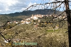 IMG_20220227_140907_1