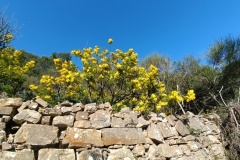 IMG_20220227_145040_1