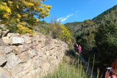 IMG_20220227_145126_1