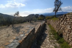 IMG_20220227_145841_1