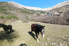 Grotte du Chat, Daluis, Vallée du Var, Mont St Honorat, Terres d'émotions, randonnée dans le 06
