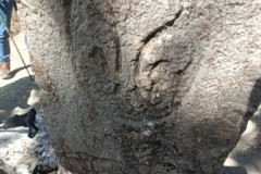 Grotte du Chat, Daluis, Vallée du Var, Mont St Honorat, Terres d'émotions, randonnée dans le 06