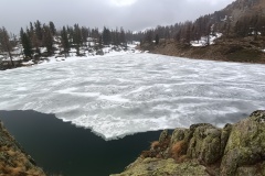 Le Boréon, col de salèse,  Lac Nègre, lac de Graveirette, Terres d'émotions, Randonnée dans le 06