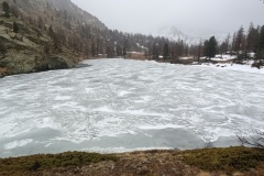Le Boréon, col de salèse,  Lac Nègre, lac de Graveirette, Terres d'émotions, Randonnée dans le 06