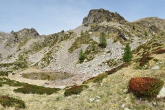Lacs du clot Barrat, Terres d'émotions, randonnée dans le 06, La Colmiane, St Martin Vésubie