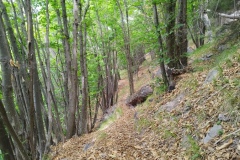 Belvédère, Berthemont, Centre thermal, Terres d'émotions; Randonnée dans le 06