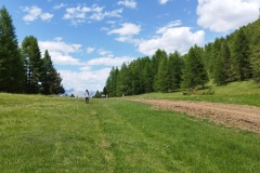 Le courradour, Peyresq, Annot, Le grand Coyer, Terres d'émotions, Randonnée dans le 06