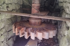 Sources de la Barlatte. Gorges de Saucha Negra, Randonnée dans le 06, Terres d'émotions