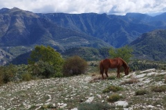 Mont Grazian, Sospel, Vallée de la Bévéra, Terres d'émotions, Clubrando06