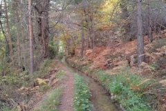 Canal de Braux, Vallée du Coulomp, Châtaignes, Terres d'émotions, randonnée dans le 04