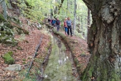 Canal de Braux, Vallée du Coulomp, Châtaignes, Terres d'émotions, randonnée dans le 04
