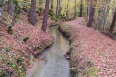 Canal de Braux, Vallée du Coulomp, Châtaignes, Terres d'émotions, randonnée dans le 04