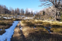 Mont Archas, Vallée de la vésubie, col de salèse, Le boréon, Terres d'émotions, randonnée dans le 06