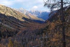 Mont Archas, Vallée de la vésubie, col de salèse, Le boréon, Terres d'émotions, randonnée dans le 06