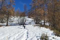 Tête de Garnier, Beuil Les Launes, Raquettes à neige, Lac de Beuil, Terres d'émotions, Randonnée dans le 06.