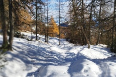 Tête de Garnier, Beuil Les Launes, Raquettes à neige, Lac de Beuil, Terres d'émotions, Randonnée dans le 06.