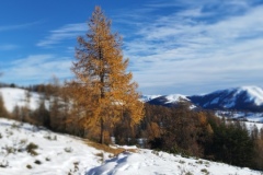 Tête de Garnier, Beuil Les Launes, Raquettes à neige, Lac de Beuil, Terres d'émotions, Randonnée dans le 06.