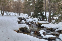 Nouvel an refuge de la Cantonnière, estenc, Col de la cayolle, vallon de sanguinières, Terresd'émotions, randonnée dans le 06