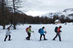 Nouvel an refuge de la Cantonnière, estenc, Col de la cayolle, vallon de sanguinières, Terresd'émotions, randonnée dans le 06