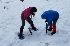 Nouvel an refuge de la Cantonnière, estenc, Col de la cayolle, vallon de sanguinières, Terresd'émotions, randonnée dans le 06
