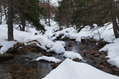 Nouvel an refuge de la Cantonnière, estenc, Col de la cayolle, vallon de sanguinières, Terresd'émotions, randonnée dans le 06