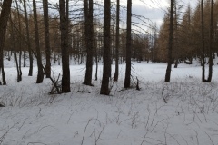 Nouvel an refuge de la Cantonnière, estenc, Col de la cayolle, vallon de sanguinières, Terresd'émotions, randonnée dans le 06