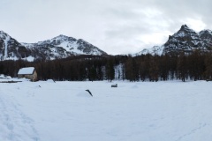Nouvel an refuge de la Cantonnière, estenc, Col de la cayolle, vallon de sanguinières, Terresd'émotions, randonnée dans le 06