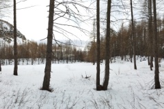 Nouvel an refuge de la Cantonnière, estenc, Col de la cayolle, vallon de sanguinières, Terresd'émotions, randonnée dans le 06