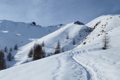 Roya, Montagne de l'Alp Tinée, Mont Mounier, terre d'émotions, Randonnée dans le 06