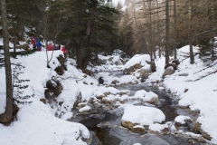 Le boréon, Restaurant l'alpage, pont de peirastreche, Parc Alpha, Terres d'émotions, Randonnée dans le 06