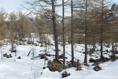 Lac des Grenouilles, Casterino, Vallée de la Roya, Terres d'émotions, Clubrando06