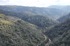 Mimosas Tanneron, Randonnée dans le 06, Terres d'émotions
