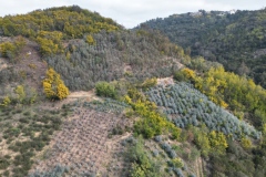 Mimosas Tanneron, Randonnée dans le 06, Terres d'émotions