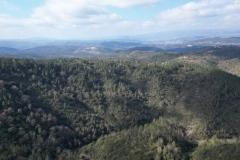 Mimosas Tanneron, Randonnée dans le 06, Terres d'émotions