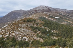 Le Teillon ,L'estéron, Crêtdu Pensier, St Auban, Soleilhas, Randonnée dans le 06, Terres d'émotions