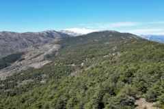 Bouyon, Bezaudun, L'estellier, Terres d'émotions, Randonnée dans le 06, Le cheiron, Mercantour