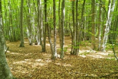 Entrevaux, Val de chalvagne, Pic Chabran, Sommet du countet, Chapelle st Jean du désert, Terres d'émotions, Randonnée dans le 06