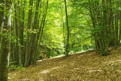 Entrevaux, Val de chalvagne, Pic Chabran, Sommet du countet, Chapelle st Jean du désert, Terres d'émotions, Randonnée dans le 06