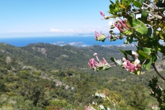Cap Sicié, Notre dame du mai, Plage de Fabregas, Six Fours le splages, Randonnée dans le 83, Terres d'émotions, Les Embiez, Saint Mandrier