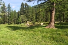 IMG_20230618_095156_1