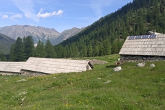 IMG_20230618_100735_1