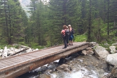 IMG_20230618_103547_1